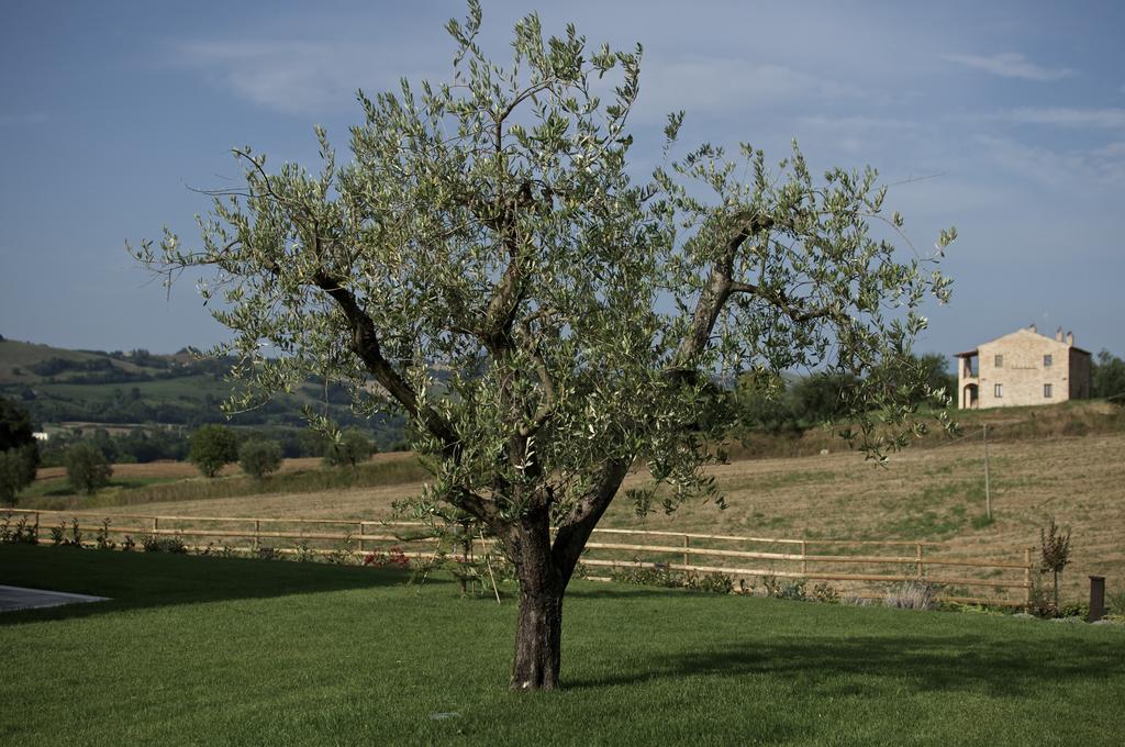 Moresco Agriturismo Εξωτερικό φωτογραφία